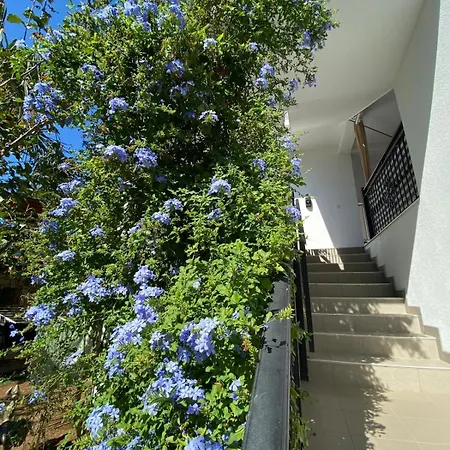 Apartman Janja Šilo