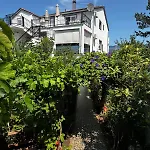Janja Appartement *