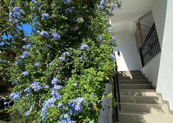 Appartement Janja Šilo