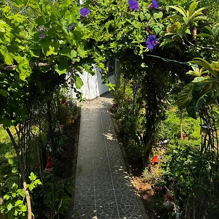 Apartament Janja Šilo